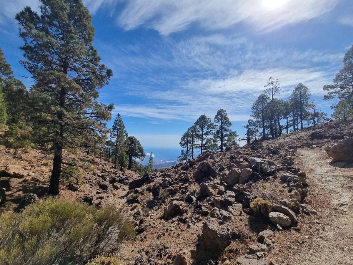 e2c686f3-fc30-4af9-b52e-9c07c87e7e83