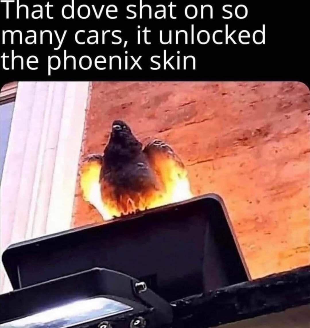 bffebb3e-9127-4274-afa6-d569366e9d43