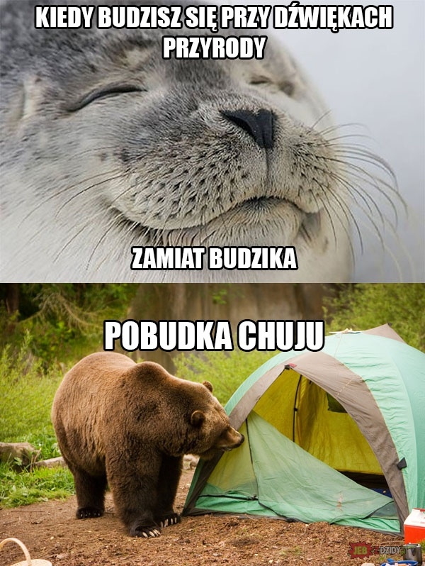 7271801b-60b1-49c1-b8d8-0983b2b69481