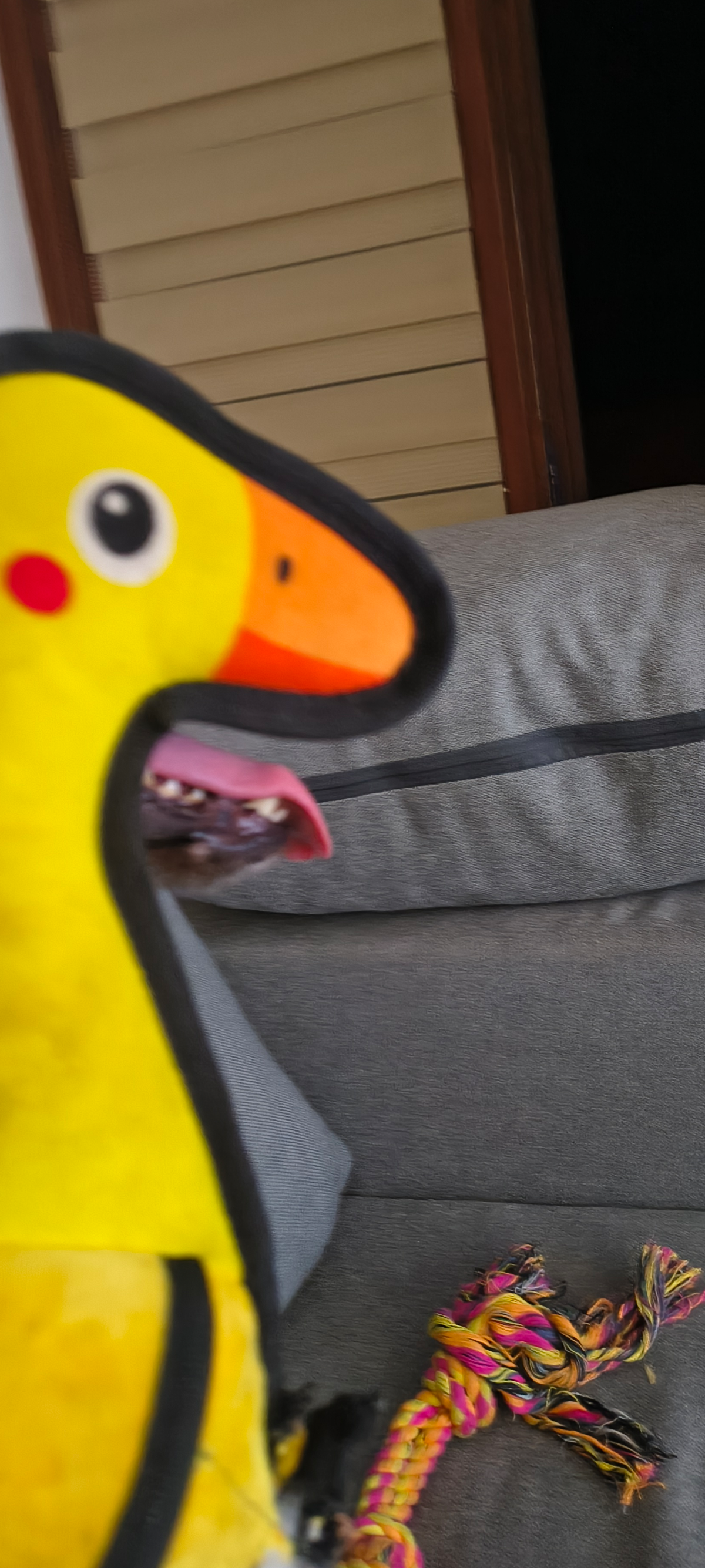 34e2e077-3b2a-4286-b26a-9484464e5cc5