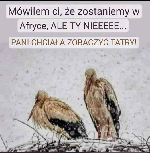 a3d71c69-e44f-4ea2-a297-6f9c56971a7f