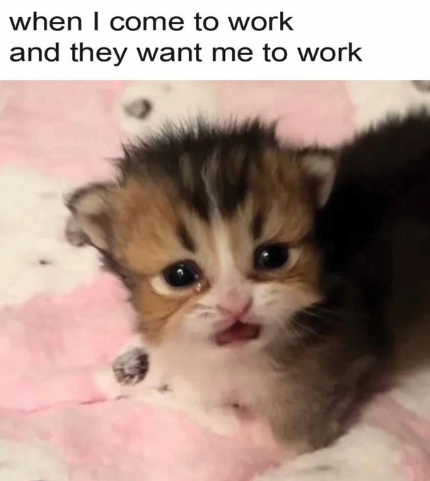 edcb818c-ad4b-4c4e-898e-926cc205f76c