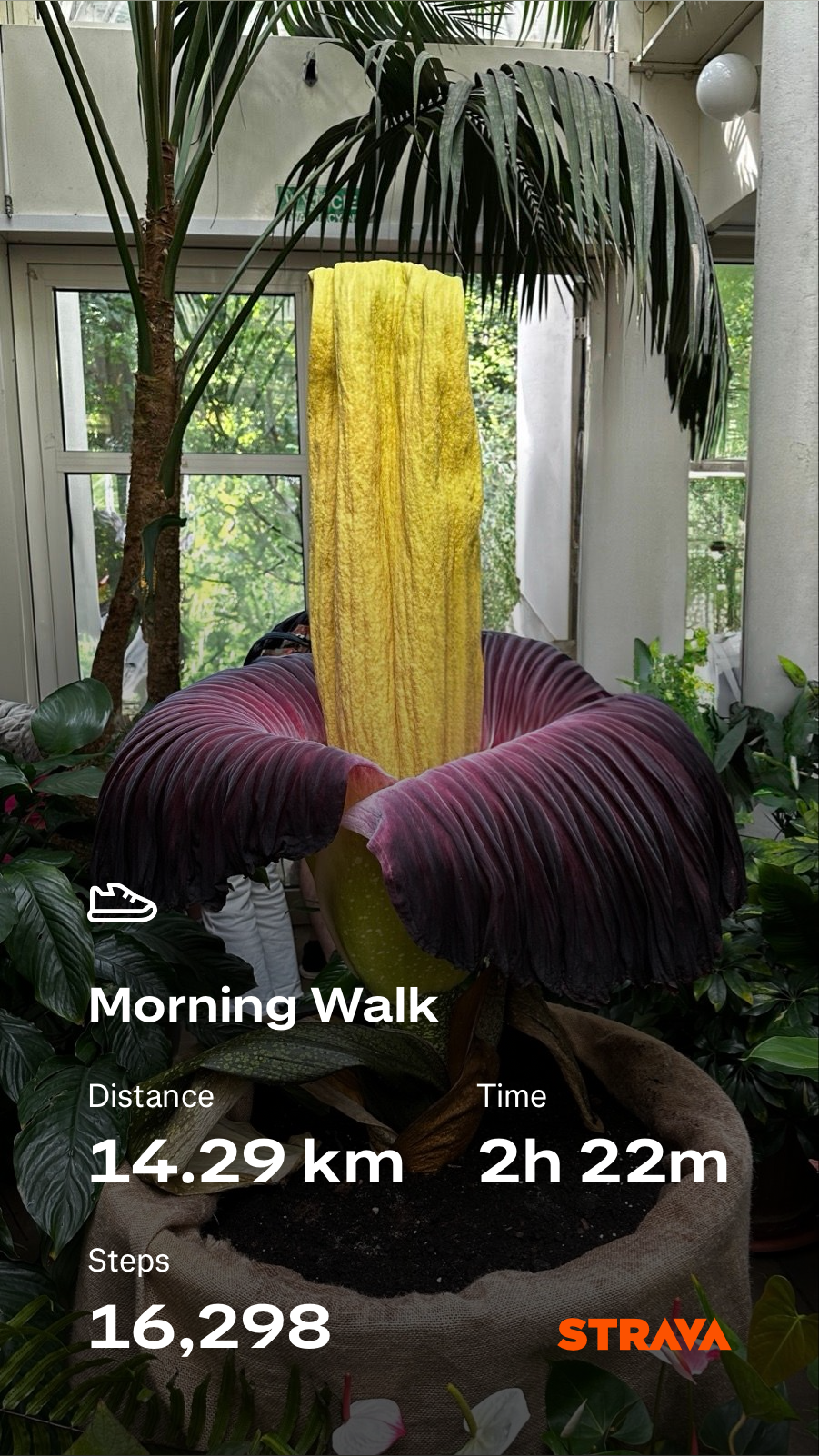 29313b2c-8be7-4041-9166-5404ddbabf34