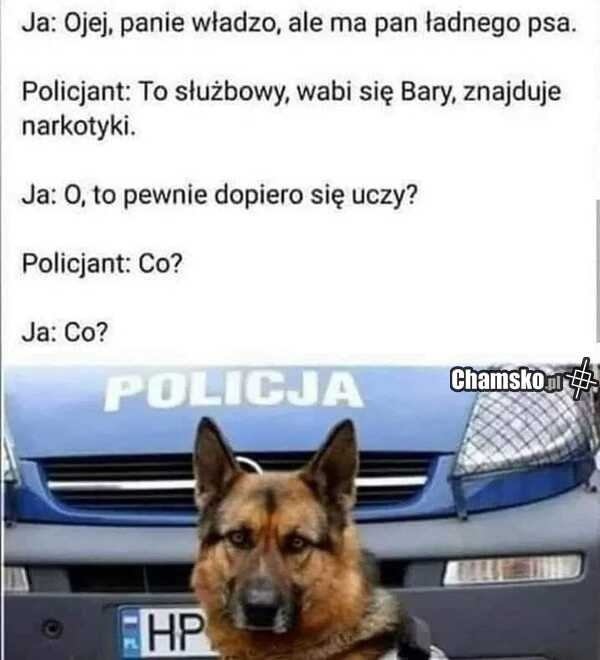 2607aed3-f70e-4894-b7b1-1805032c3cfc