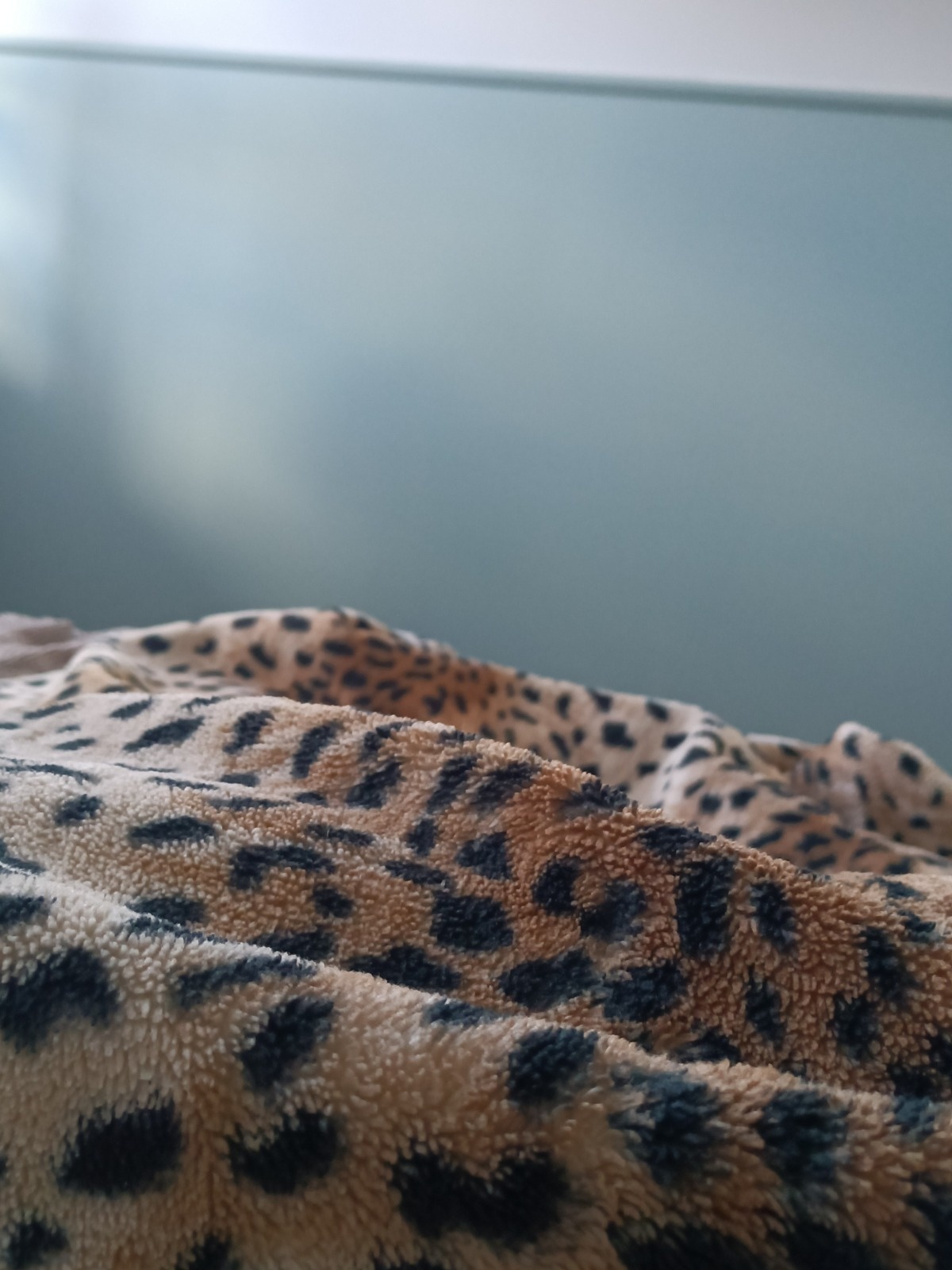 0c1d9c99-472a-4bd0-bc34-9bc4ce75e445