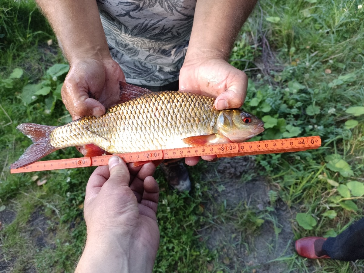 6113dca2-b5f7-4646-a6a4-71332bcc021a