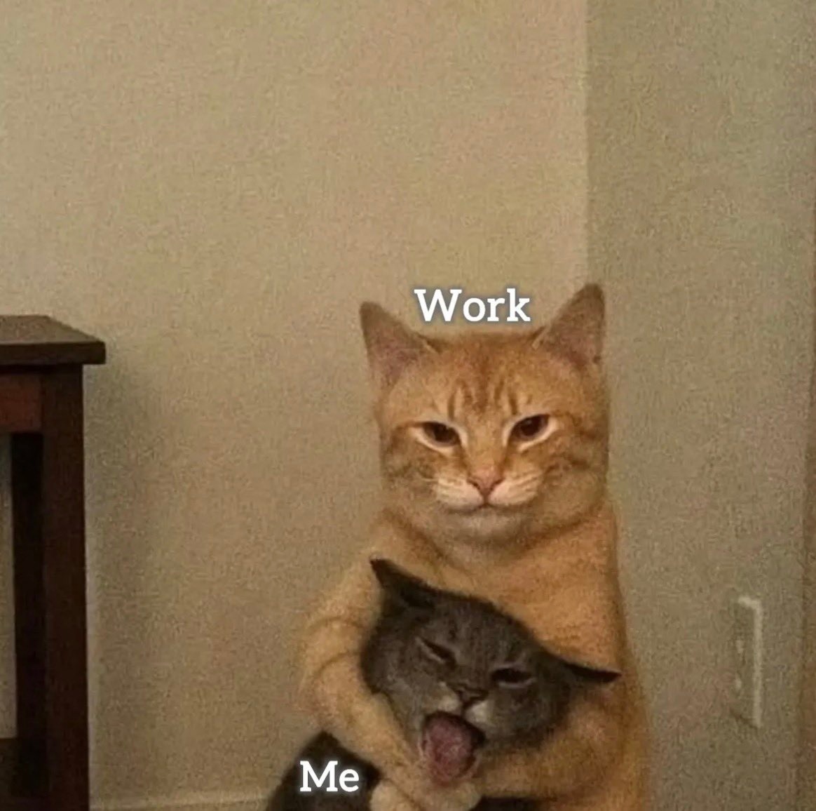 0e339b40-d665-4ec7-bacc-0407395872ea