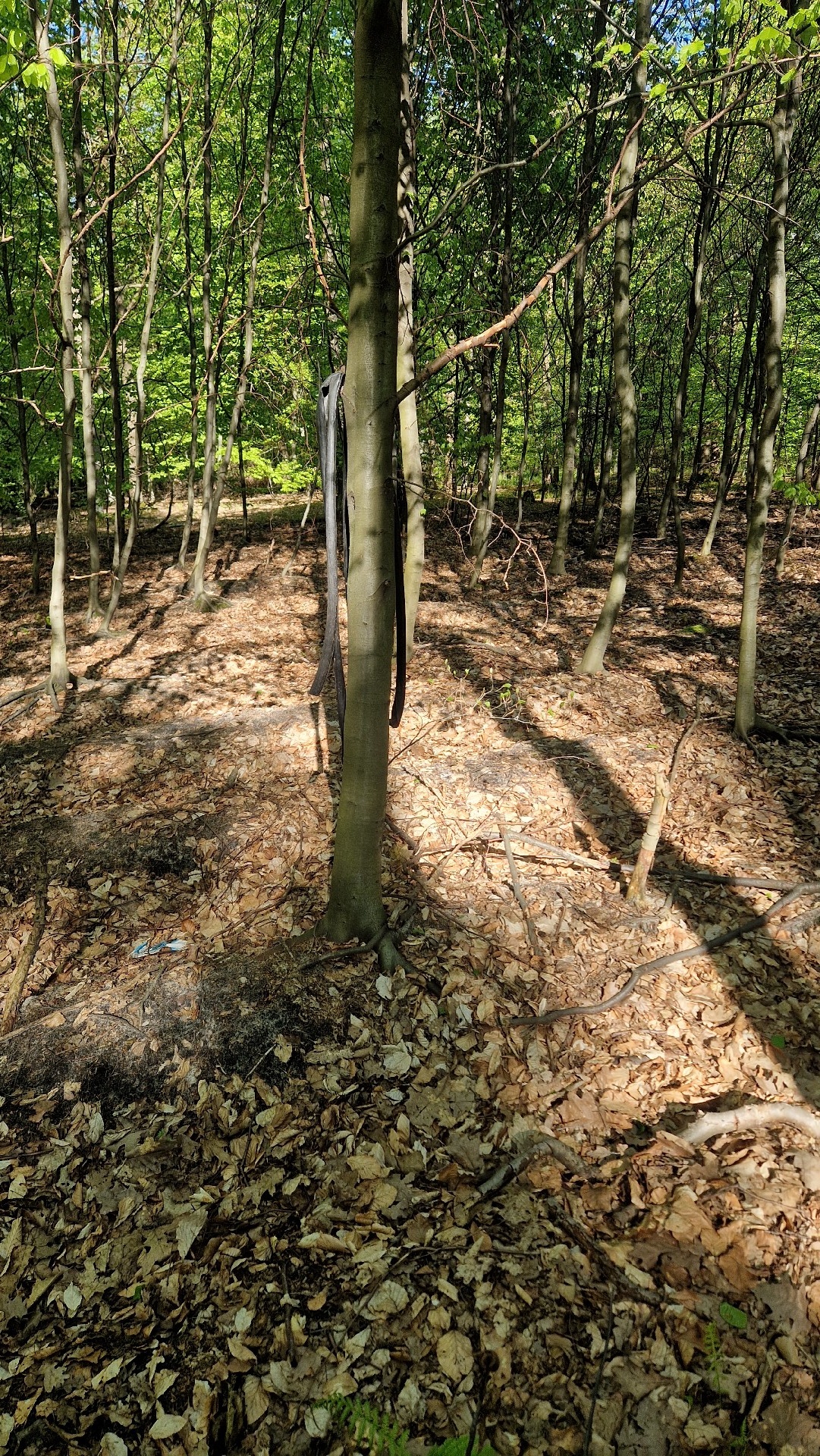 a2d01029-98ab-4a6a-82a0-e5f536d41307