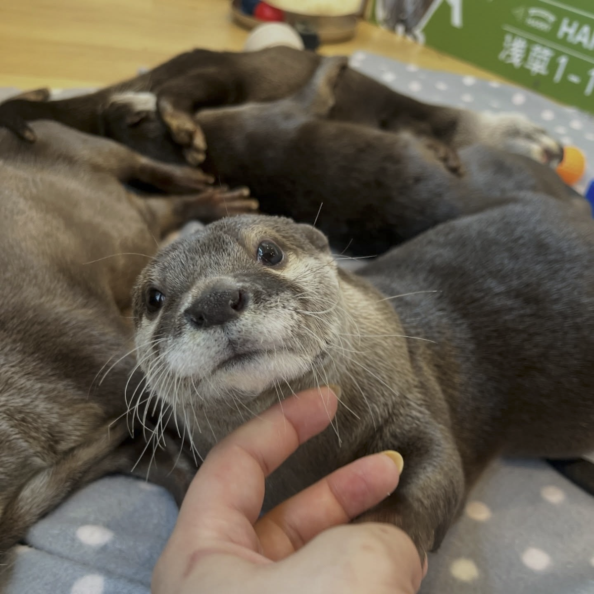 381fa139-5210-428d-b30b-48059ca11f4e