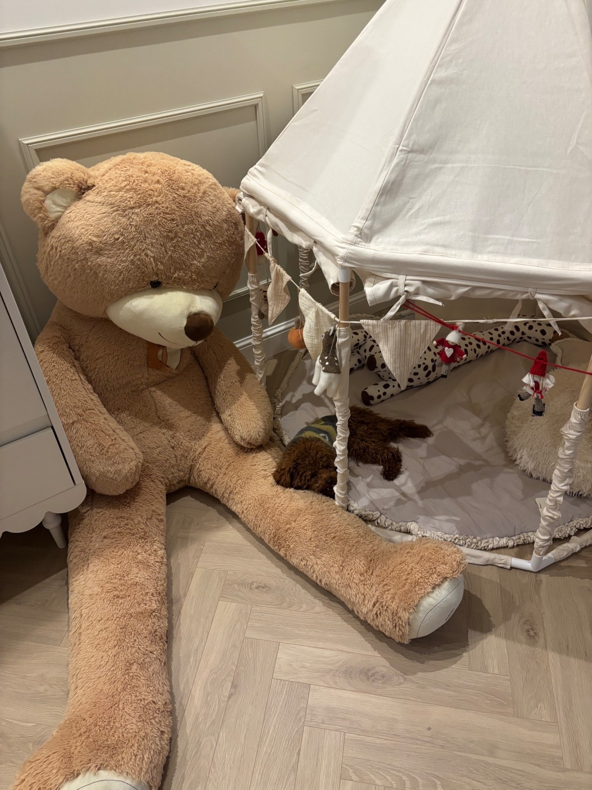 8378db83-70a8-42b5-8aba-0fbb37dedaf9