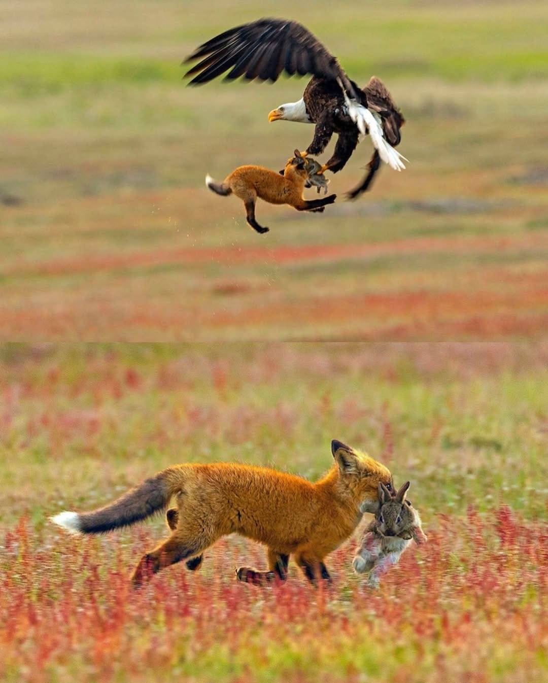 f907b4a2-50e8-4488-bde5-e1a60f60ac2a