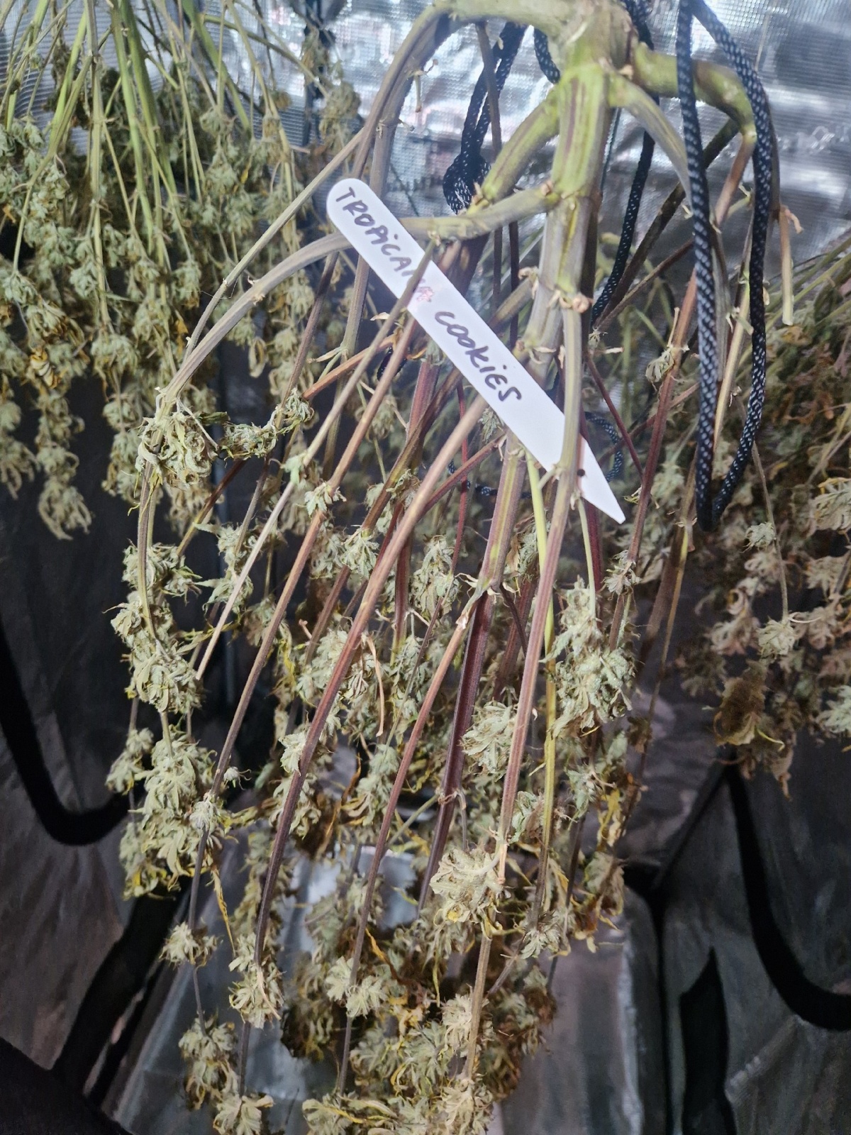 f8731f2c-206a-4180-aa5c-362b585f0d90