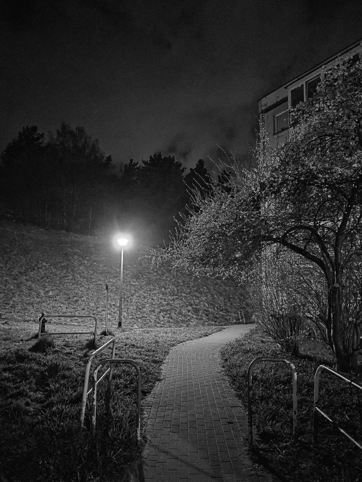 d9a138c4-53ac-4f37-ae33-bd80ecc137cd