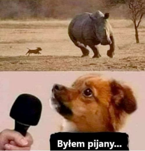 fc24309d-5792-479d-81cd-d35bb736cf7a