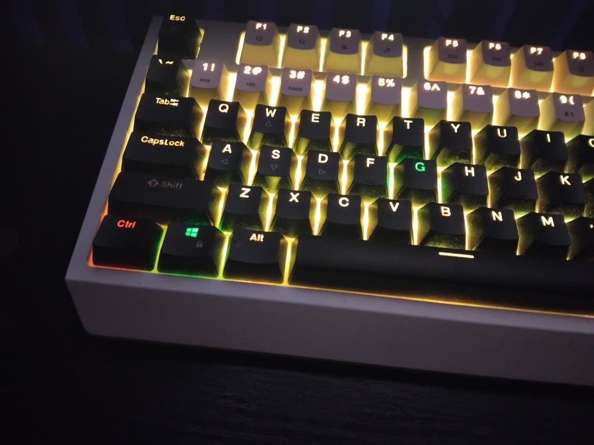 b1076f5e-9ee3-4f19-9d71-1f18215ed27d