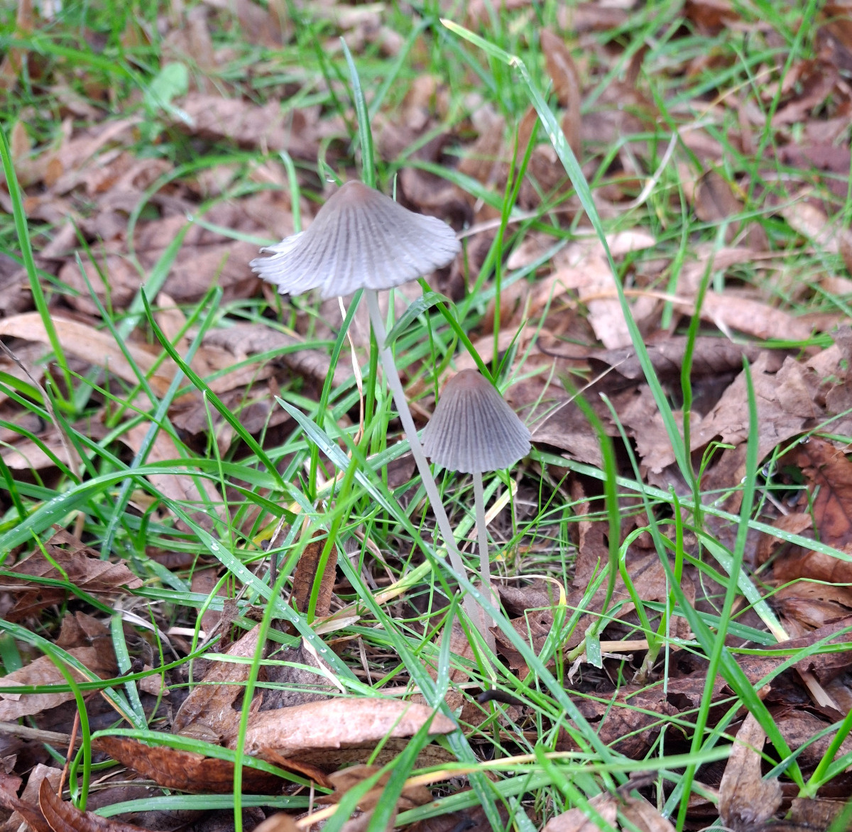 830e8f2d-cc3b-470c-a249-e98a6fd61686