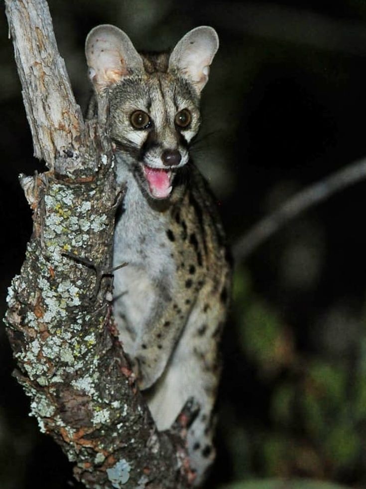 dd64e955-229c-410e-9ffd-85244c2d1bdb