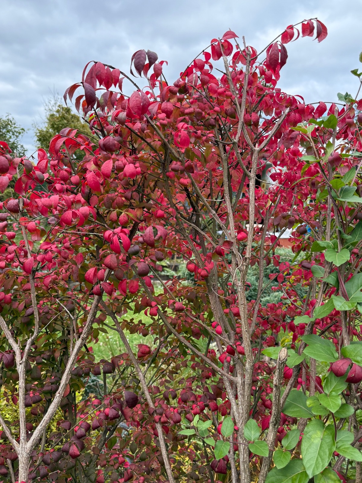 5aa66a01-2e39-4d32-bc42-dc8ecb34e00e