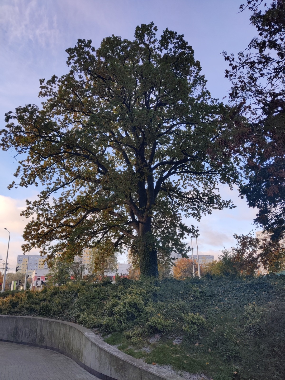 1f103302-f20c-4023-8b39-cd6003aaa098