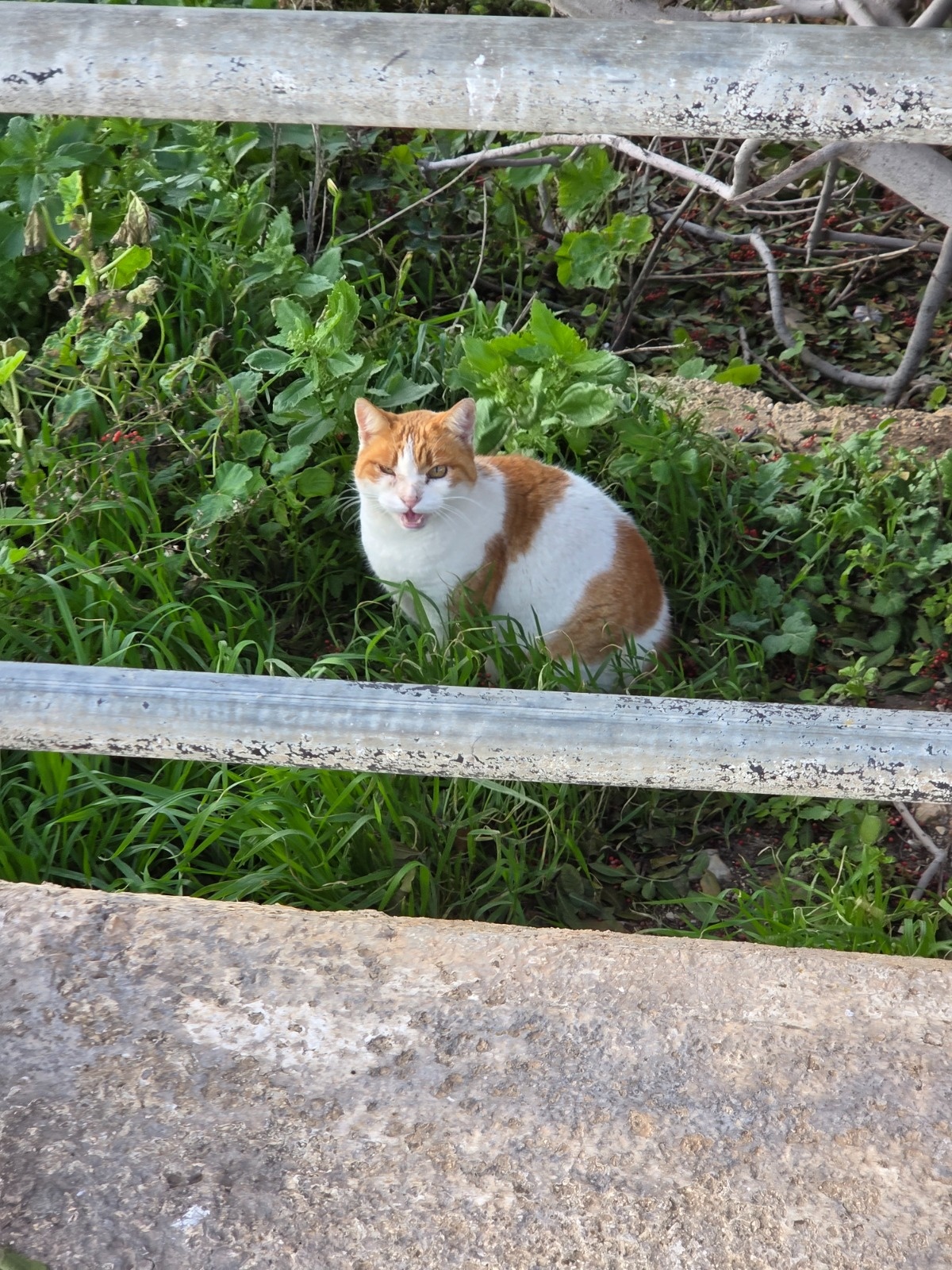 11dc9f9d-2d06-4f99-b8ff-24f1d966188f