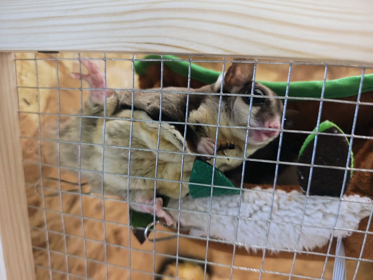 6f8f93a9-aca9-477b-9bce-fae2e3eebd0d