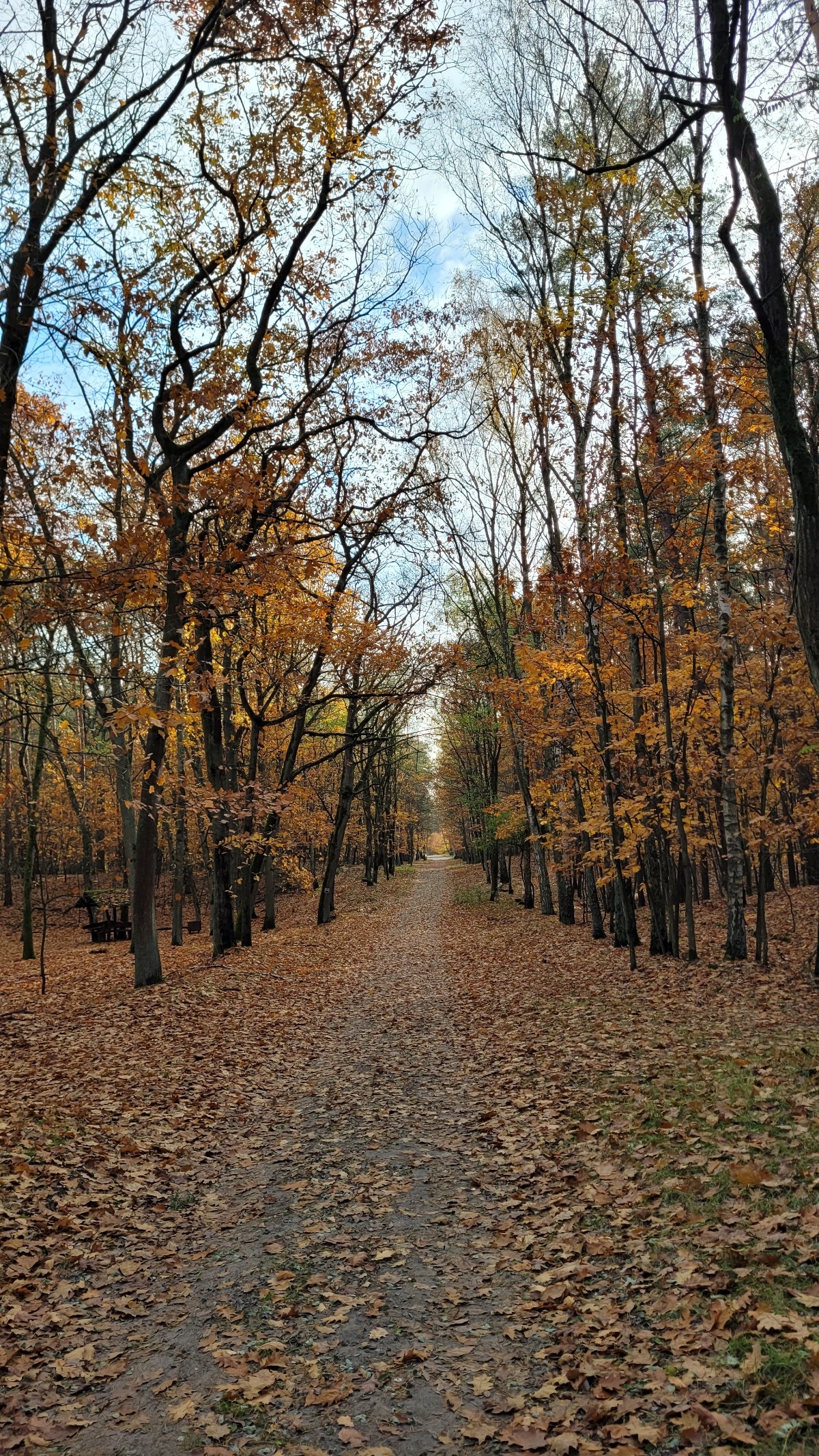 5641ca8b-5848-41a4-8471-504aca4a6daa