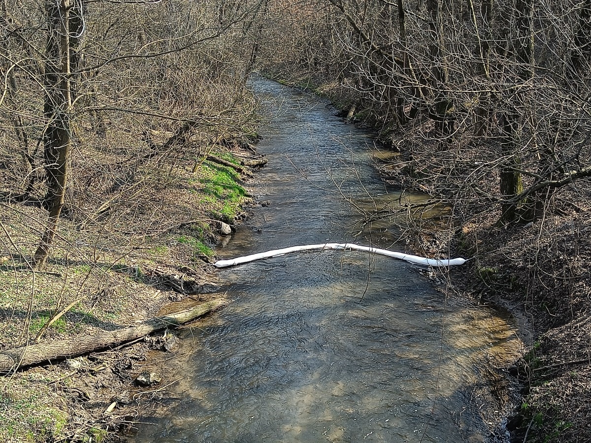 c46195ab-cf4f-49fd-9777-a238c41f896a