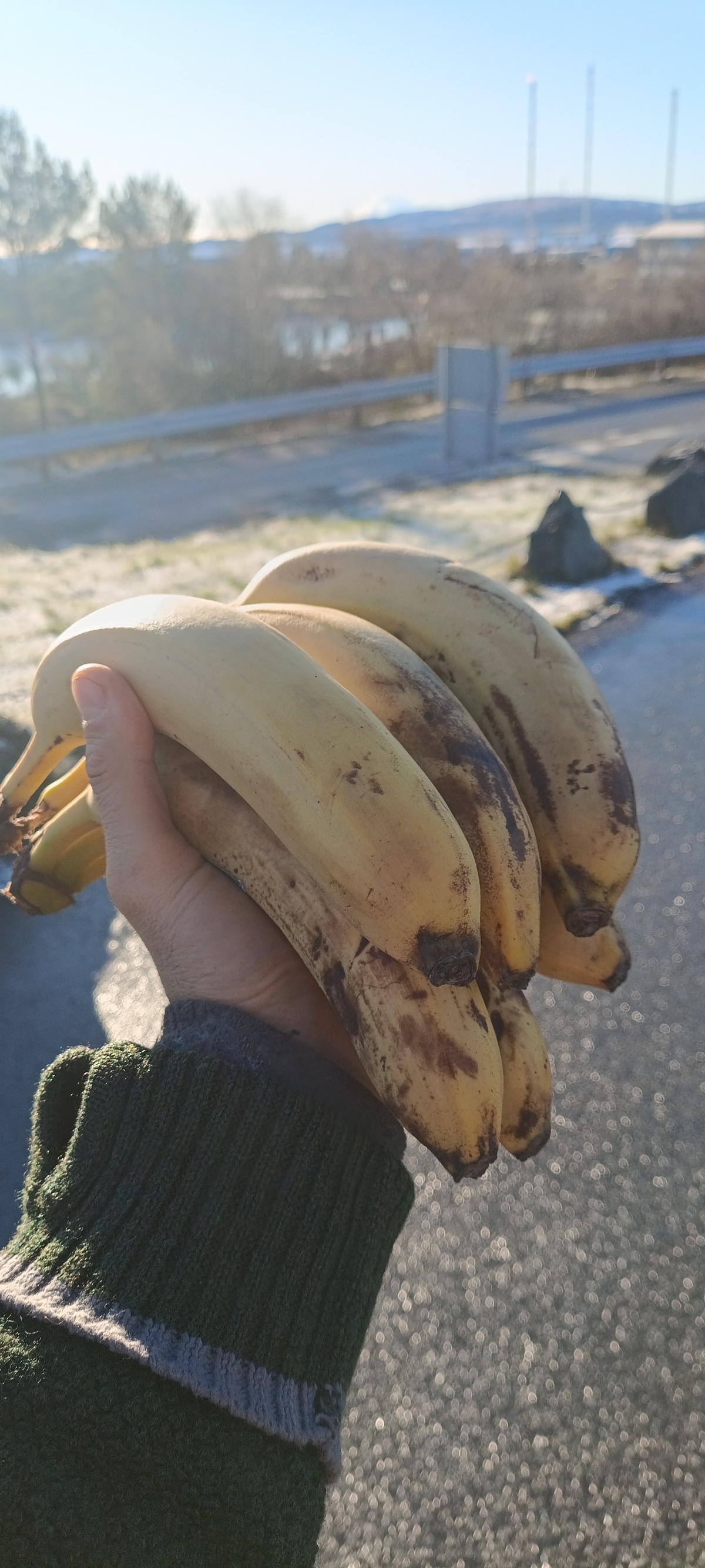 a32c4511-fee0-4f5b-bb6e-1658614442fe