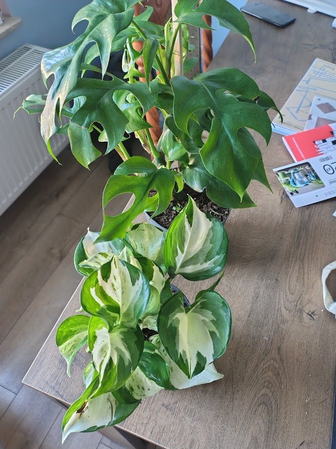 d7ff49d6-8b5c-461c-9ecf-4fbc4cb00e18