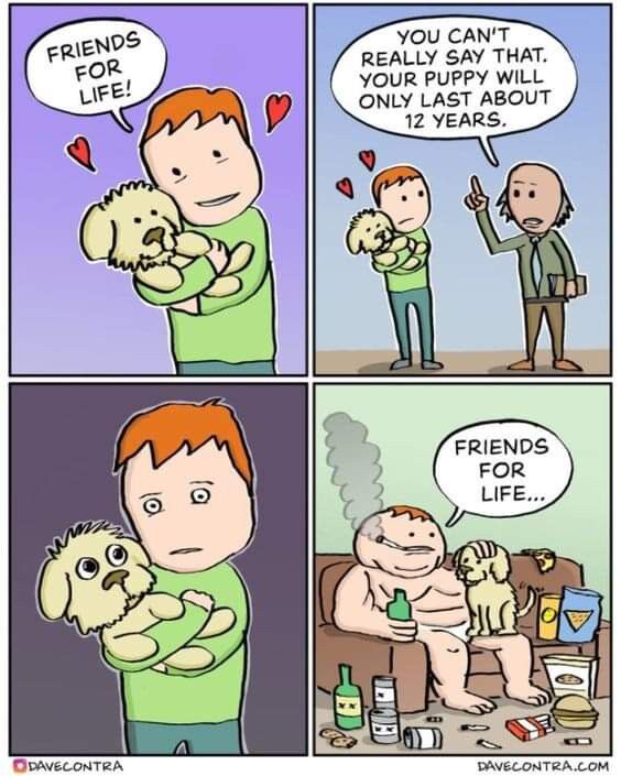 a3b84526-4995-4fab-b233-f97cb9f9f1f8