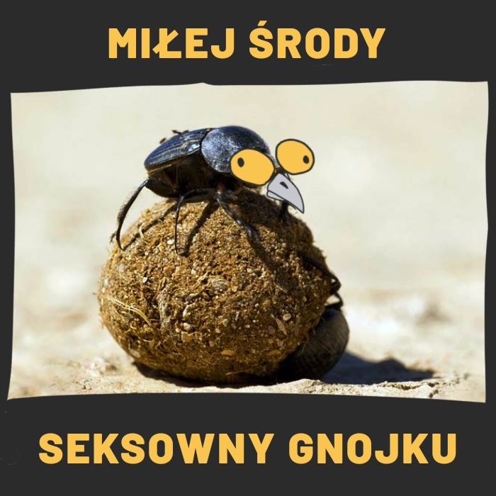 b4356e7d-7c0a-4417-9be7-2ee14d4bf390