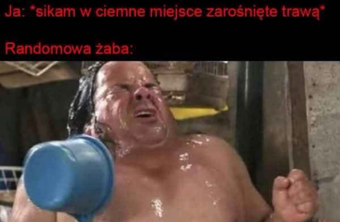 7323046d-6791-4baa-ab86-1cddc5db7cbe