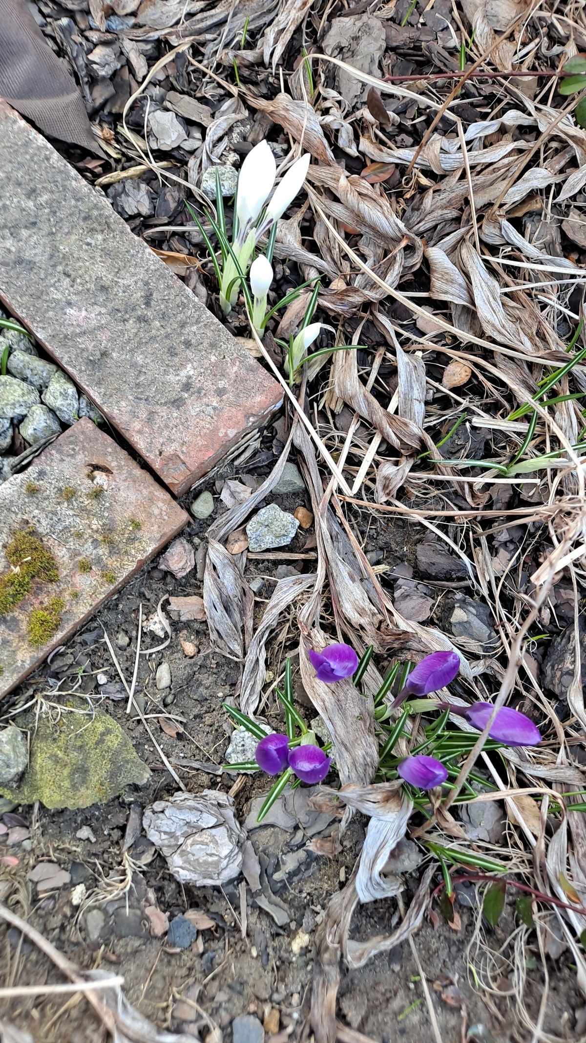 1194a188-365a-4c4a-b279-22c8899980a0