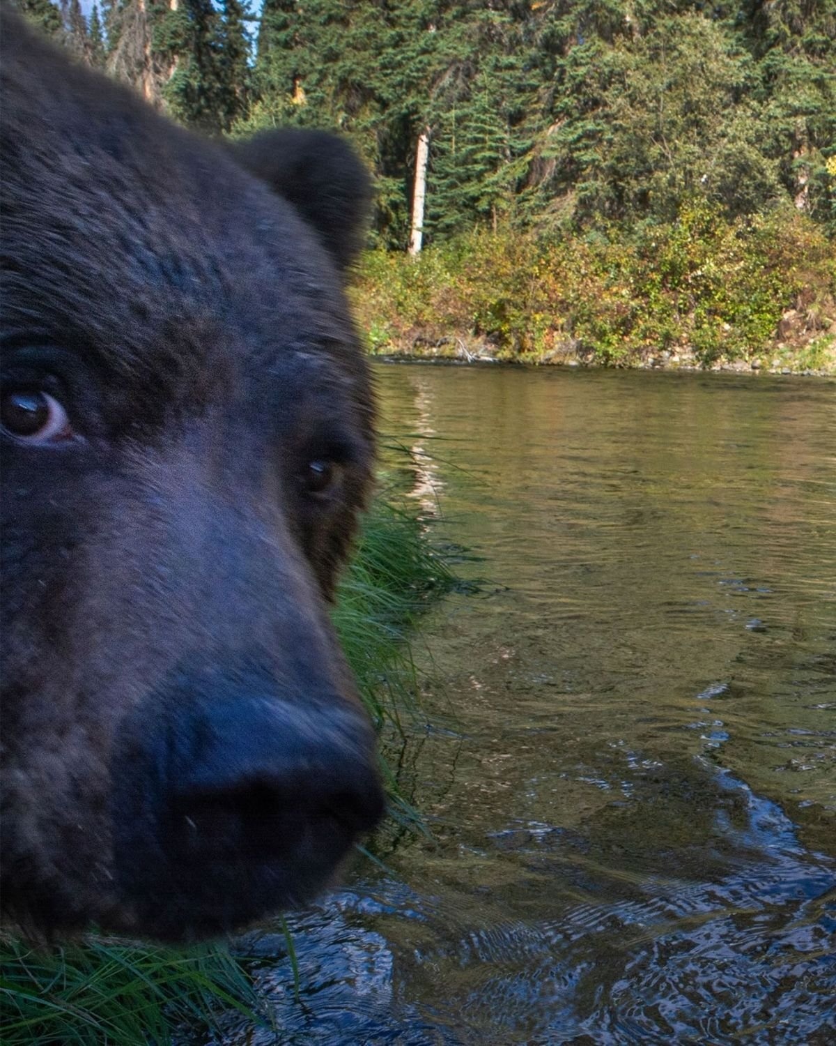 dae6e18a-4655-4f46-97cb-9c1d30d80d0c