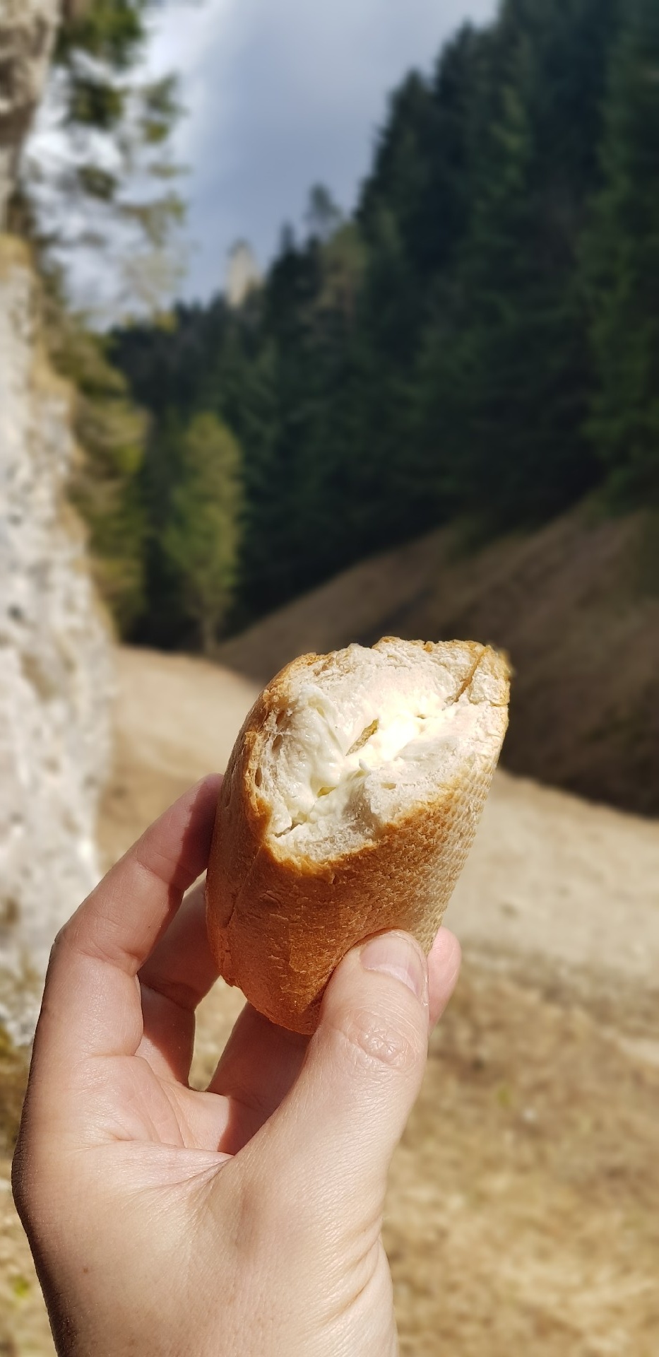 d02d0573-e179-4957-be56-d764db9d6929