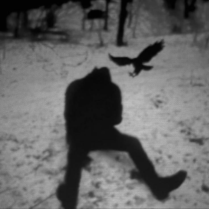 cb5df6e1-f2c1-4226-9e82-fa4124f83815