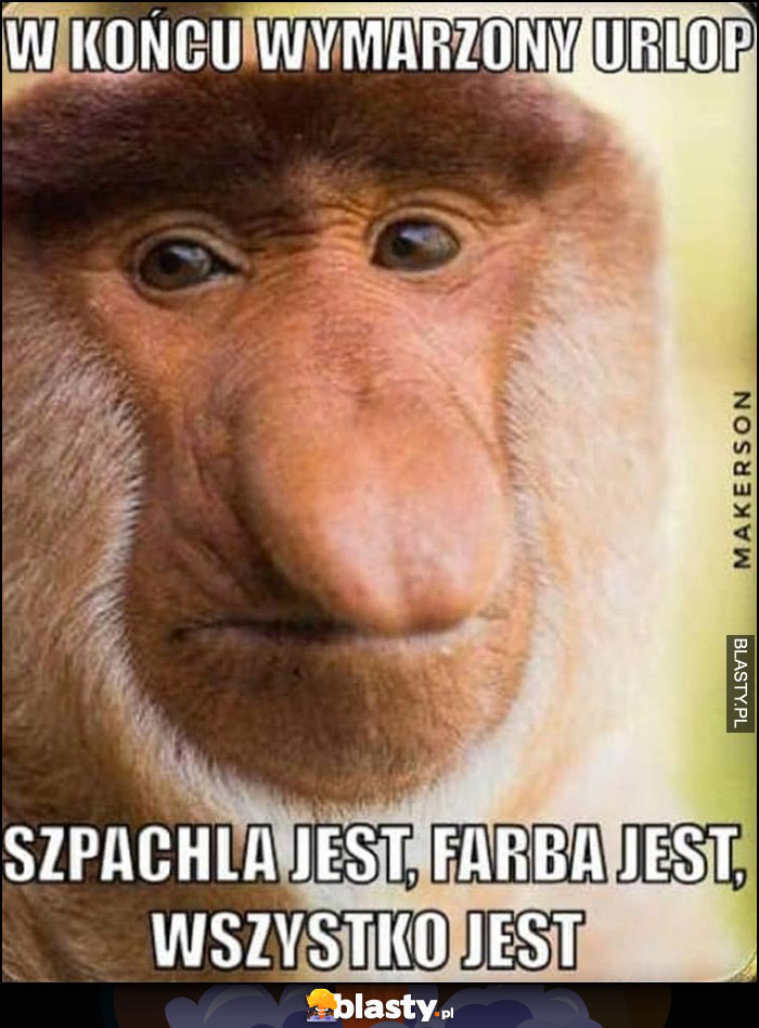 3fa24a67-12a1-432e-93f4-b8aaaa7137ae