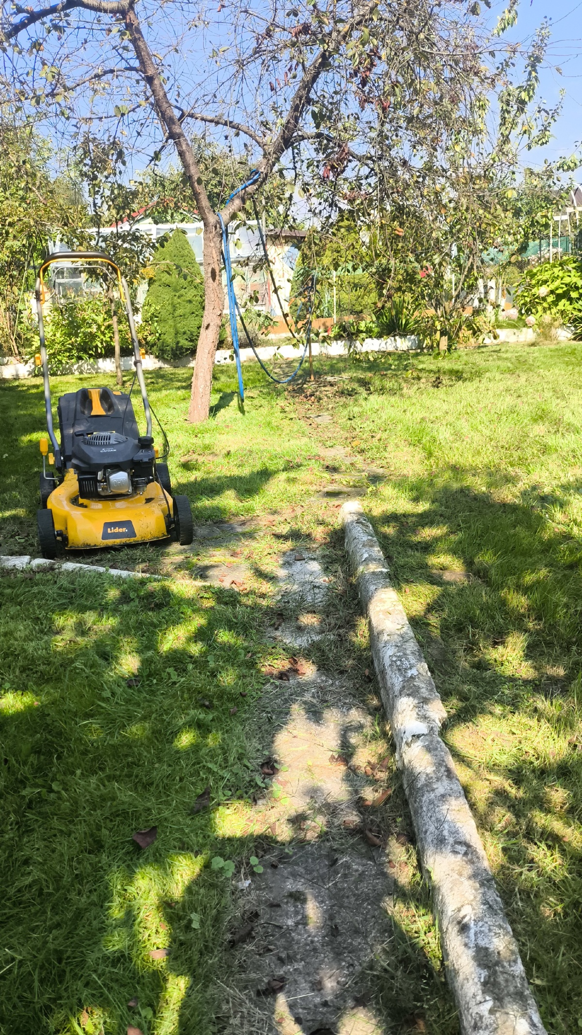 c15c215d-85d6-4b59-8e44-c03f0b2c08d4