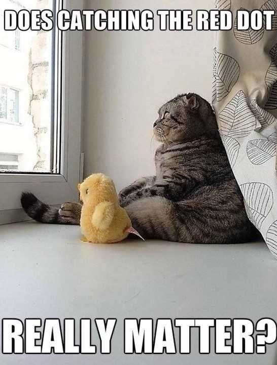 a35d79d3-694d-4d87-90e7-bb5406095acf