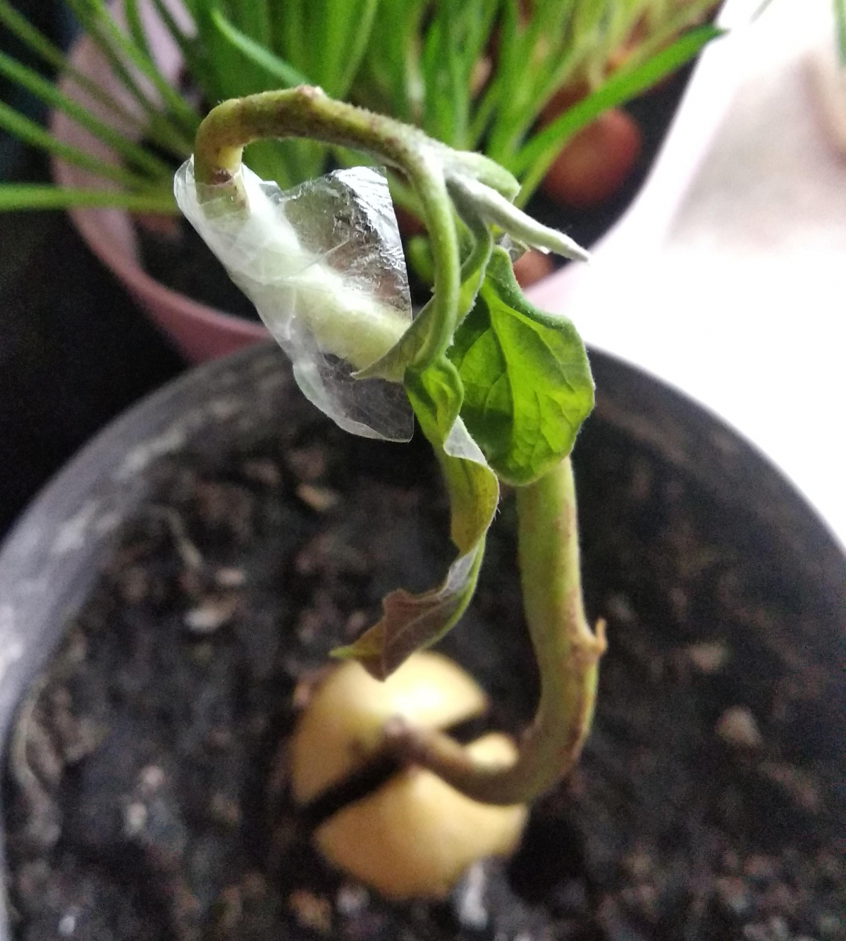 6a561458-bea2-4bb0-bb6a-f19ec3109996