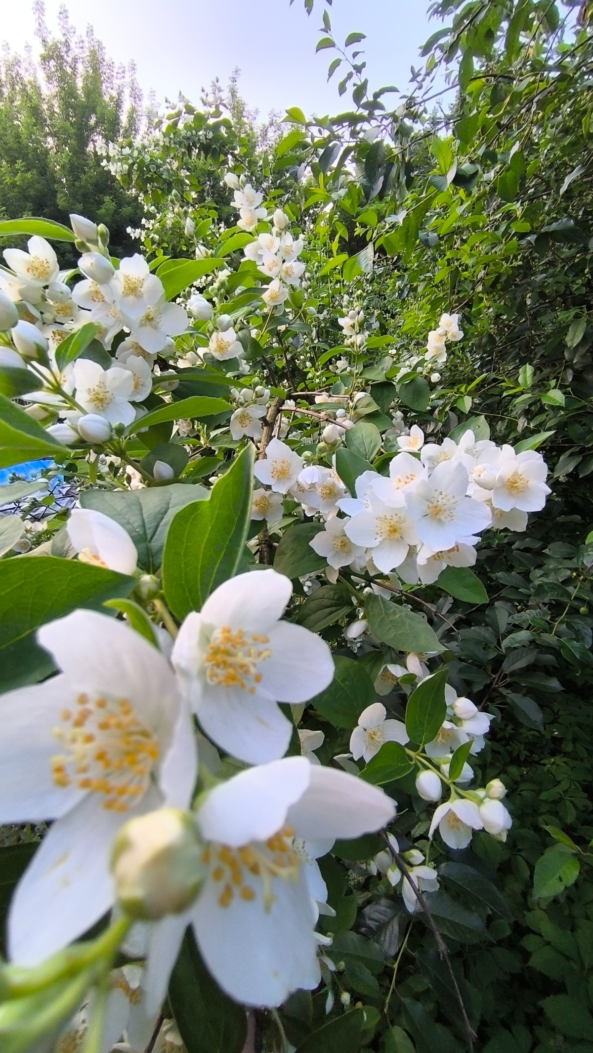 4b550058-d781-458d-a380-399c7fe8bbbf