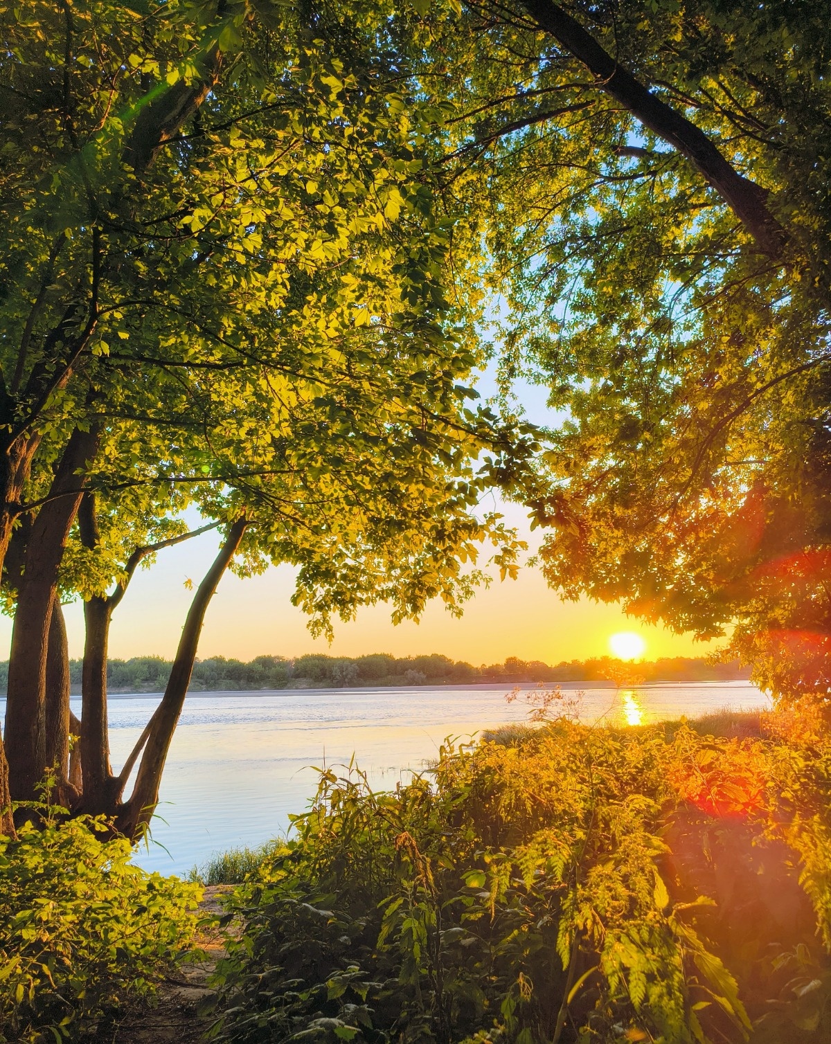 2df52a96-1e37-4980-975a-6ed5dbfa8a65