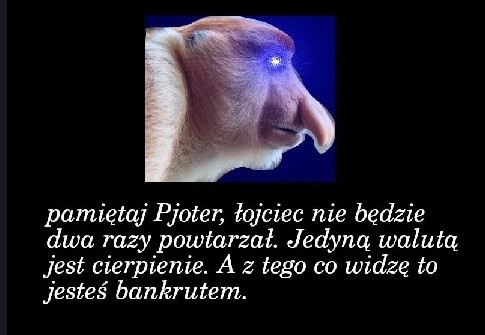 94aea199-f60f-4307-9e98-6336b8fe3544