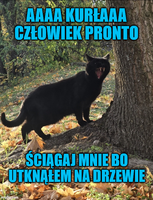 2dfee228-42c4-417e-bcbb-e4e9e6b4e4df