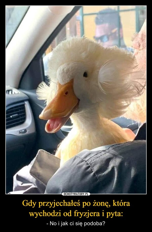 e1280348-fa4f-406f-9b42-256472d3107f