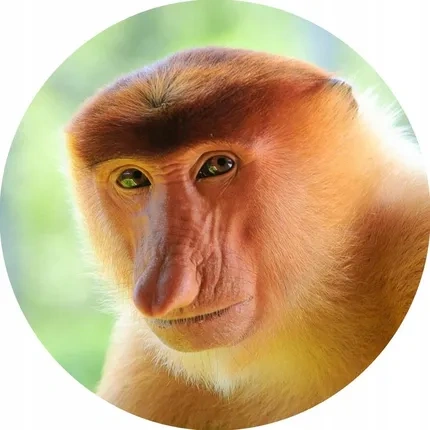 617ced41-2b19-44ff-8905-1a3230e8ac7c