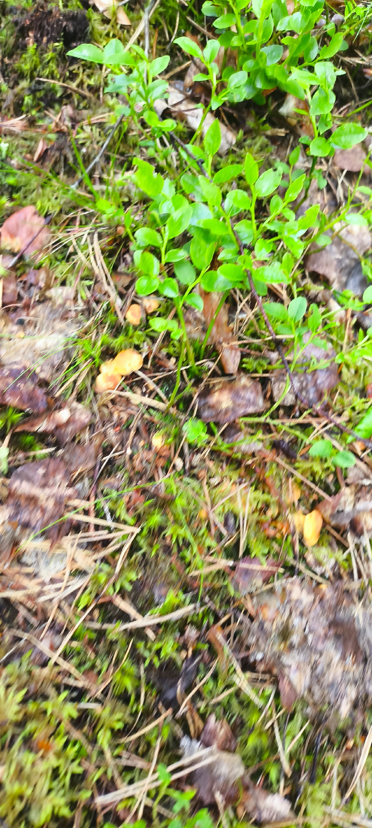 9f9e17ec-150d-43ab-95ba-1b3ef99459df