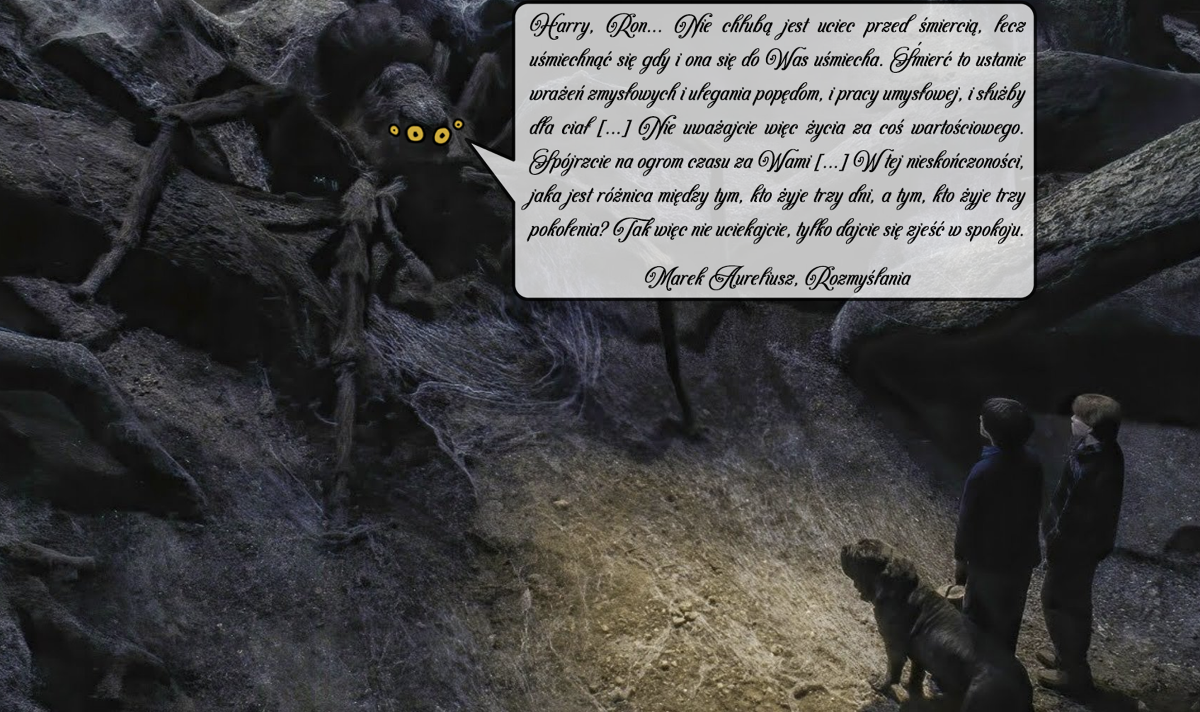 5f67511b-101f-479e-b83c-f23f19249905