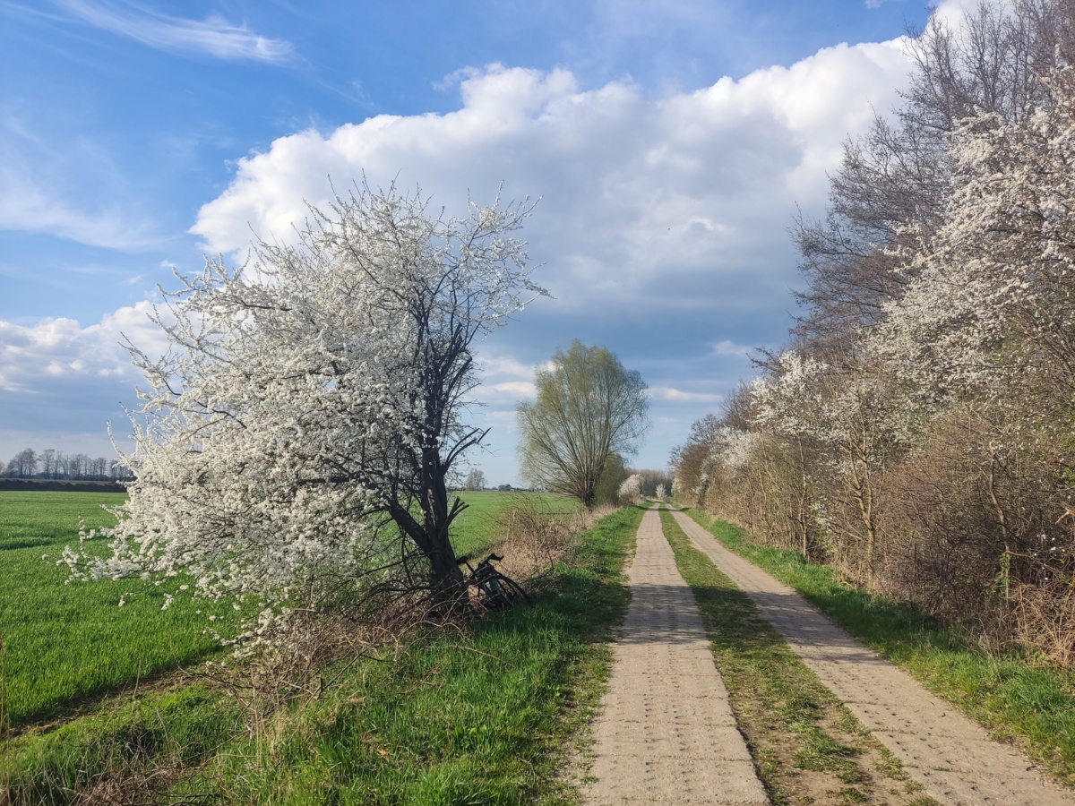 80d601cb-0917-49a9-9285-5c4e9d58a9ef