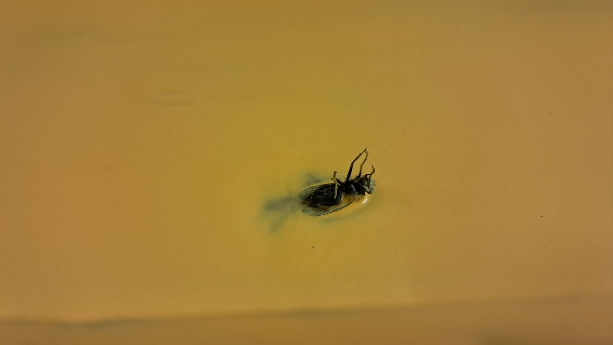 d232ef21-15db-4500-91f0-5e679867904e